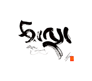 Wiki Collection Template
